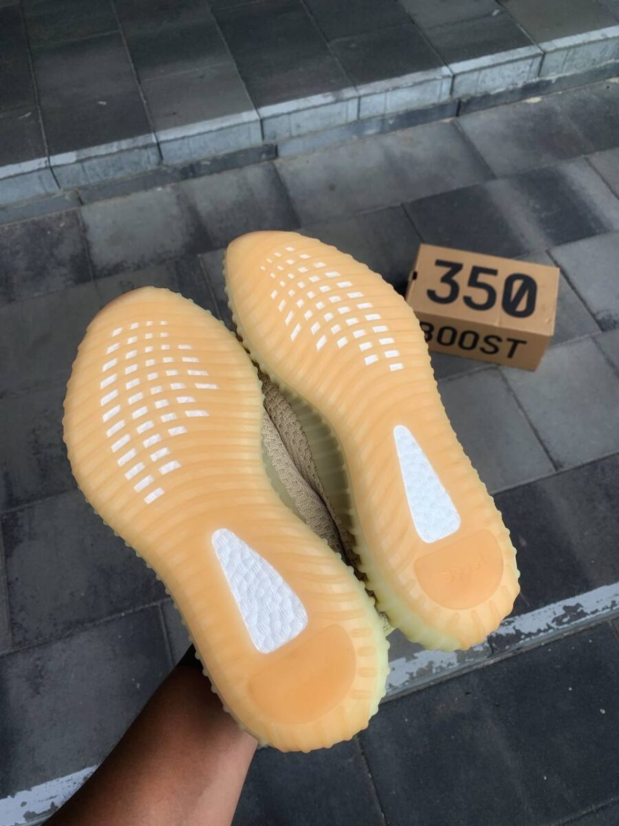 Adidas Yeezy Boost 350 V2 “Antlia”