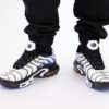 Nike Air Max Plus TN White Persian Violet