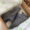 Adidas Yeezy Boost 700 "Utility Black"
