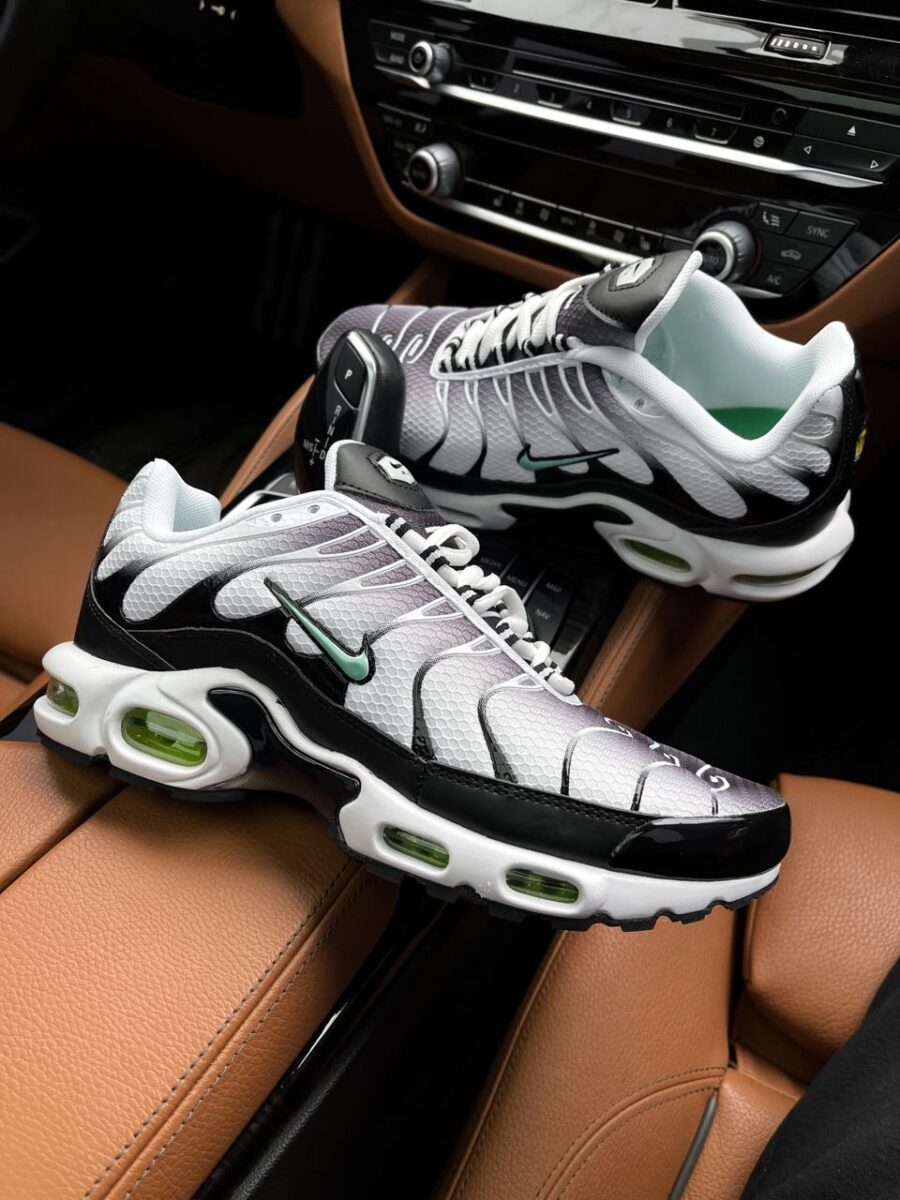 Nike Air Max Plus TN Silver Fresh Mint