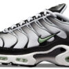 Кроссовки Nike Air Max Plus TN "Silver/Fresh Mint"