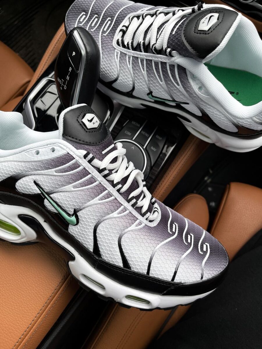 Nike Air Max Plus TN Silver Fresh Mint