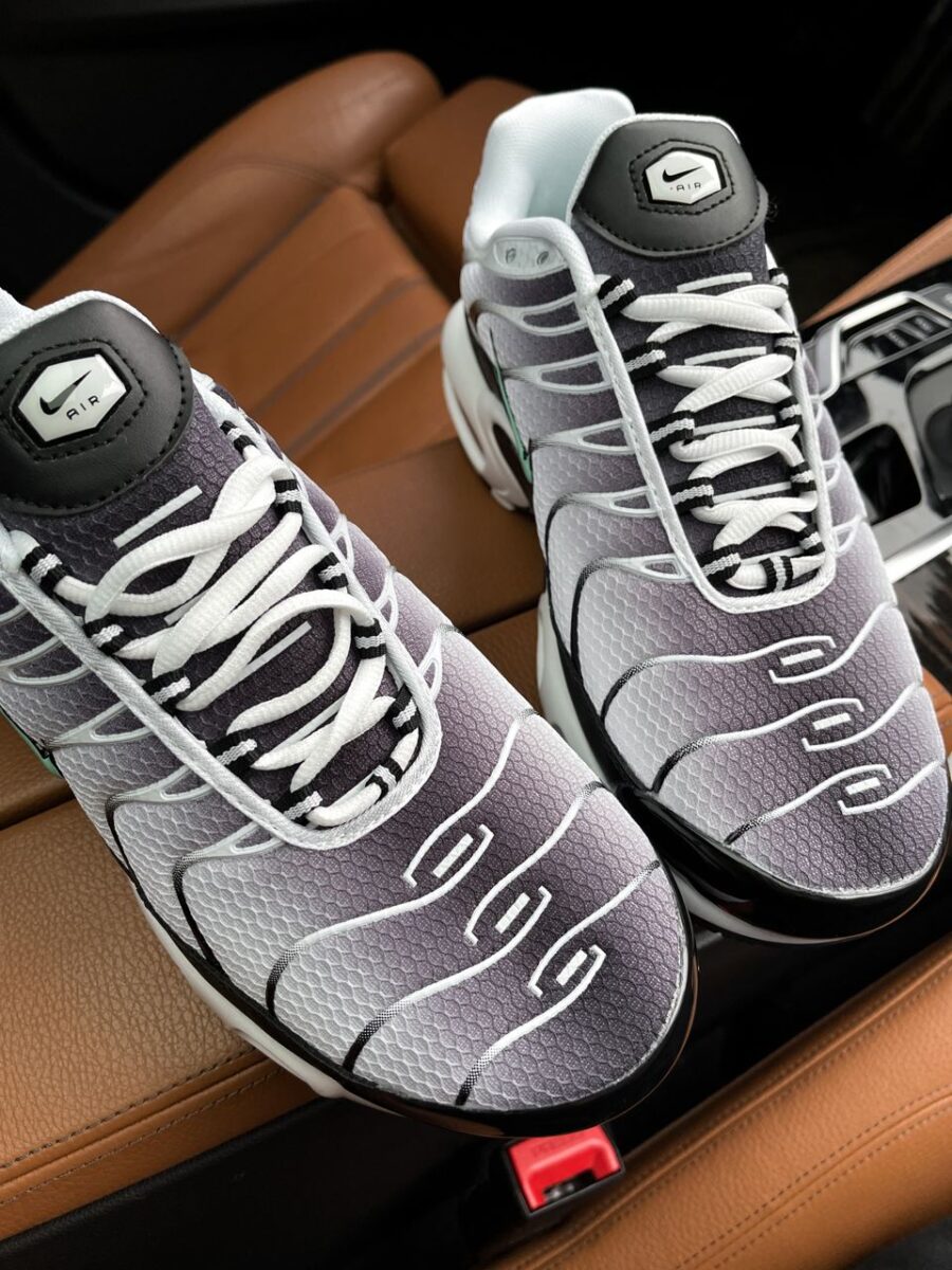 Nike Air Max Plus TN Silver Fresh Mint