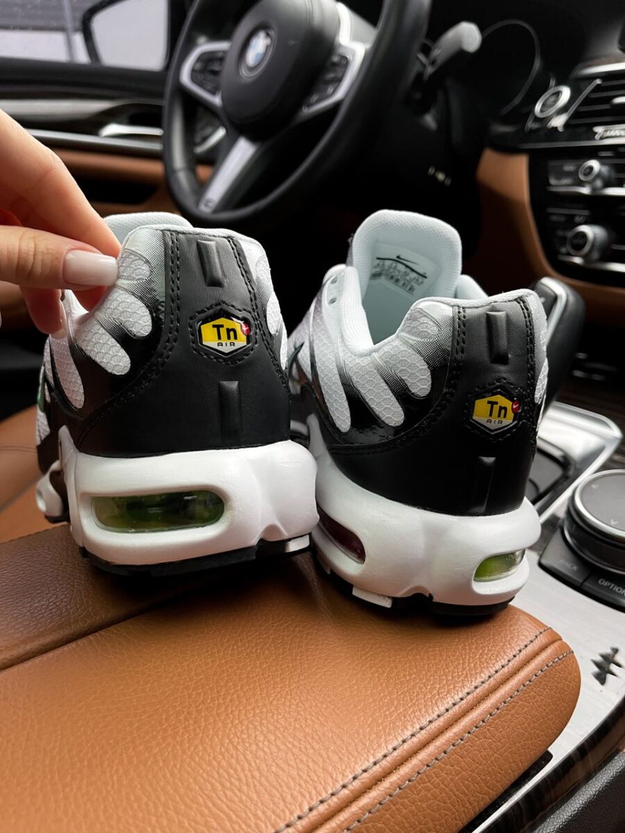 Nike Air Max Plus TN Silver Fresh Mint