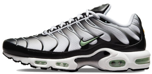 ÐÑÐ¾ÑÑÐ¾Ð²ÐºÐ¸ Nike Air Max Plus TN "Silver/Fresh Mint"