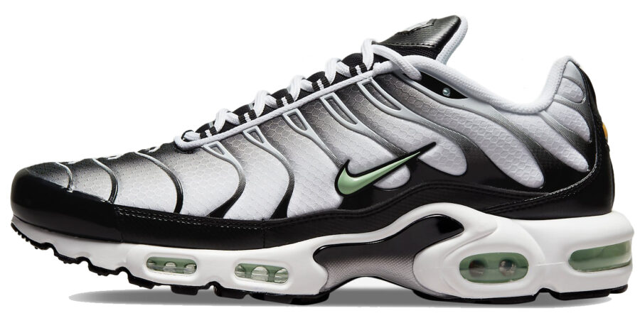 Кроссовки Nike Air Max Plus TN "Silver/Fresh Mint"