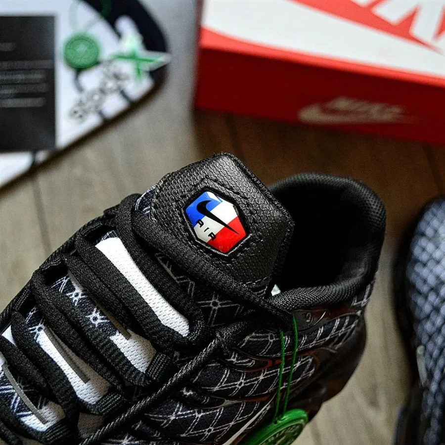 Nike Air Max TN Plus France