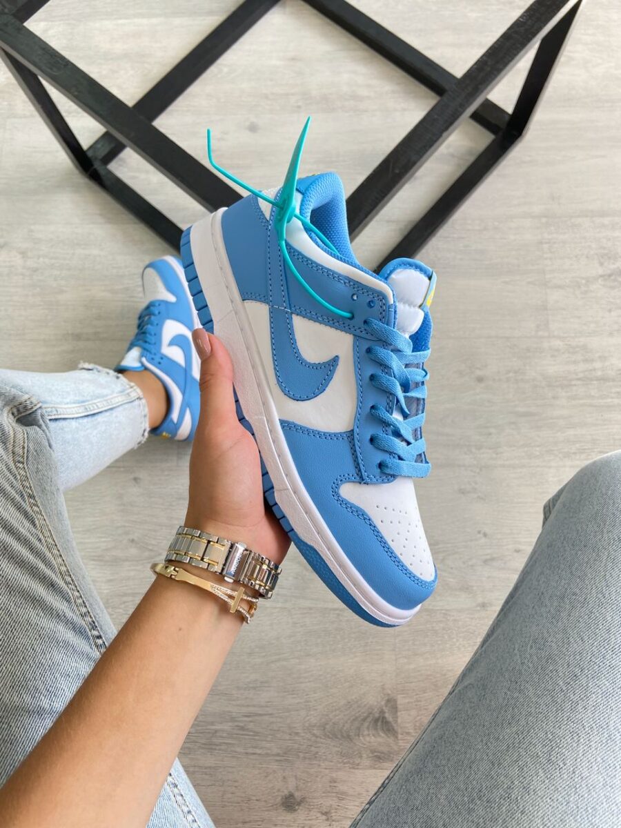 Nike Dunk Low Coast 1