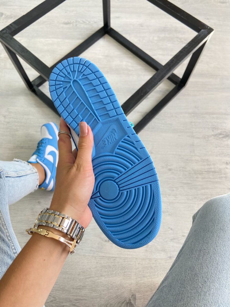 Nike Dunk Low Coast 3