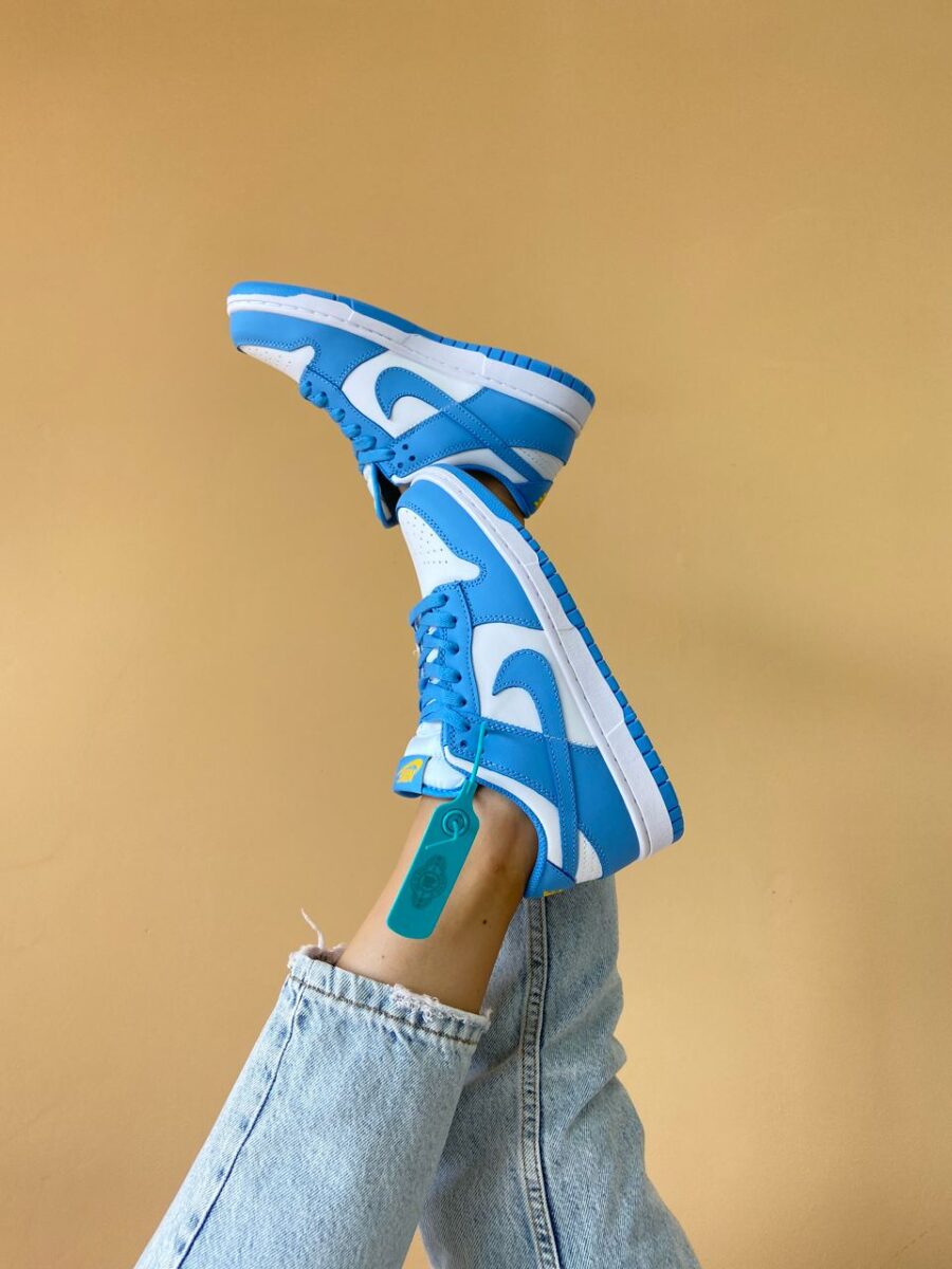 Nike Dunk Low Coast 4