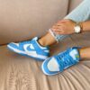 Nike Dunk Low Coast 5