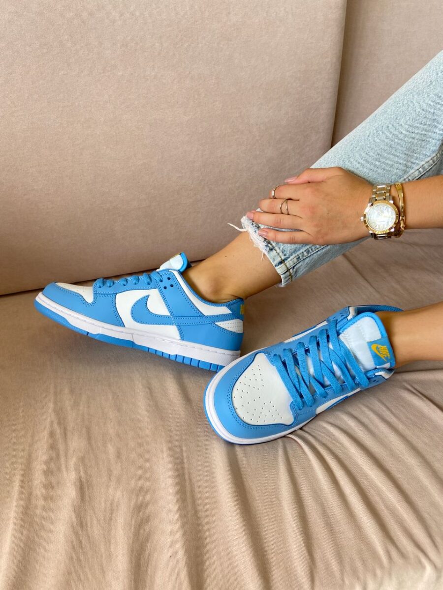 Nike Dunk Low Coast 5