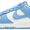 Nike Dunk Low Coast