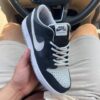 Nike Dunk Low SB J-Pack Shadow 1