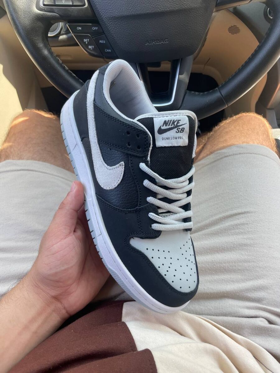 Nike Dunk Low SB J-Pack Shadow 1