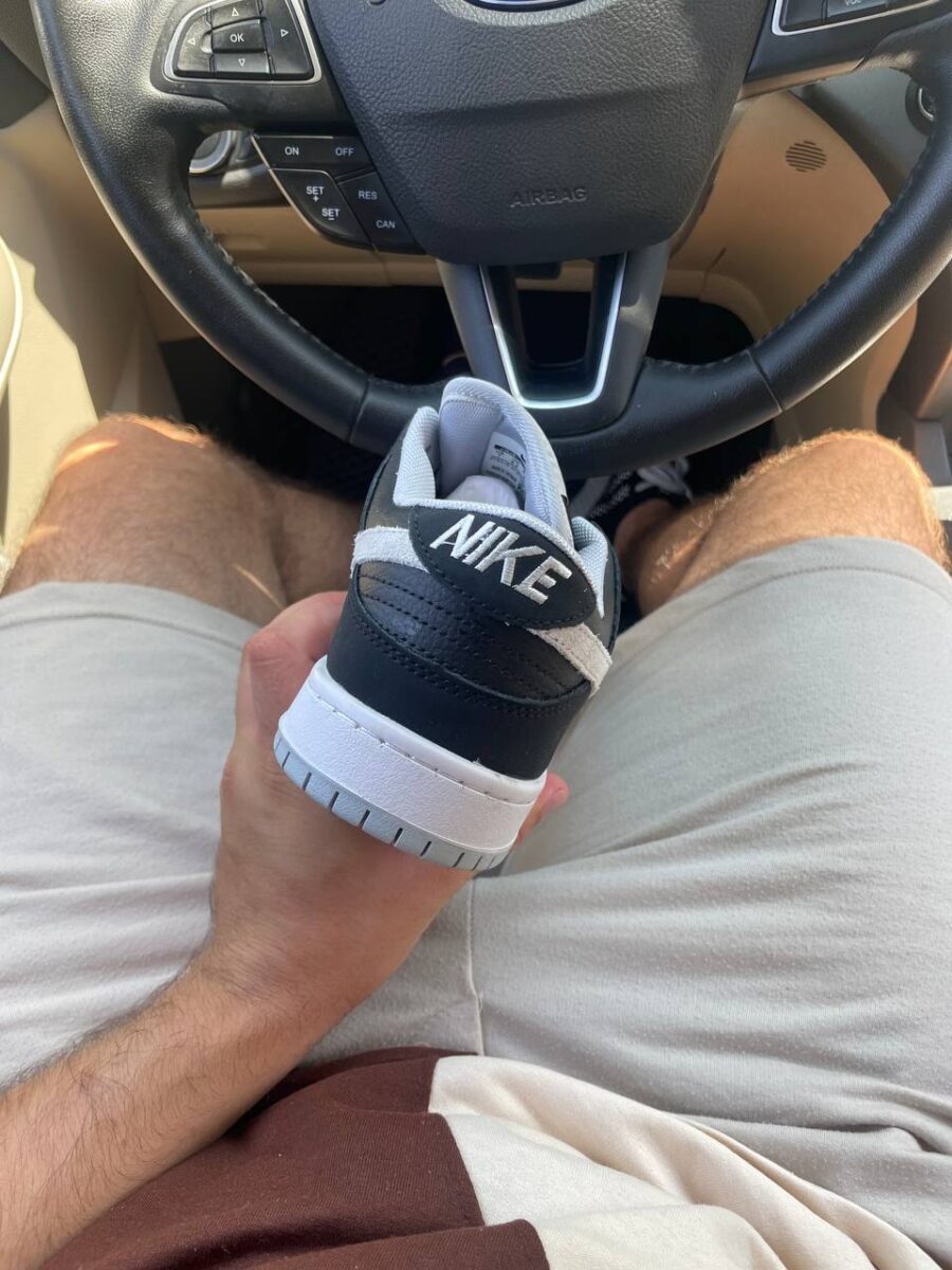 Nike Dunk Low SB J-Pack Shadow 4