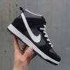 Nike Dunk High Pro SB Venom 1
