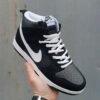 Nike Dunk High Pro SB Venom 2