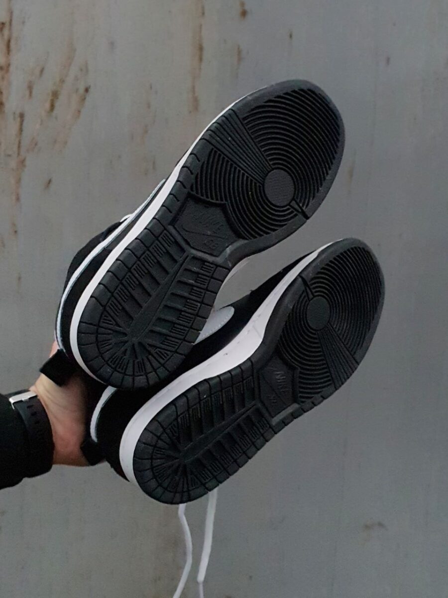 Nike Dunk High Pro SB Venom 6