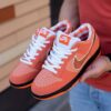 Concepts x Nike SB Dunk Low Orange Lobster 1