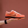 Concepts x Nike SB Dunk Low Orange Lobster 2