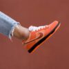 Concepts x Nike SB Dunk Low Orange Lobster 4