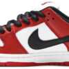 Nike Dunk Low SB J-Pack Chicago