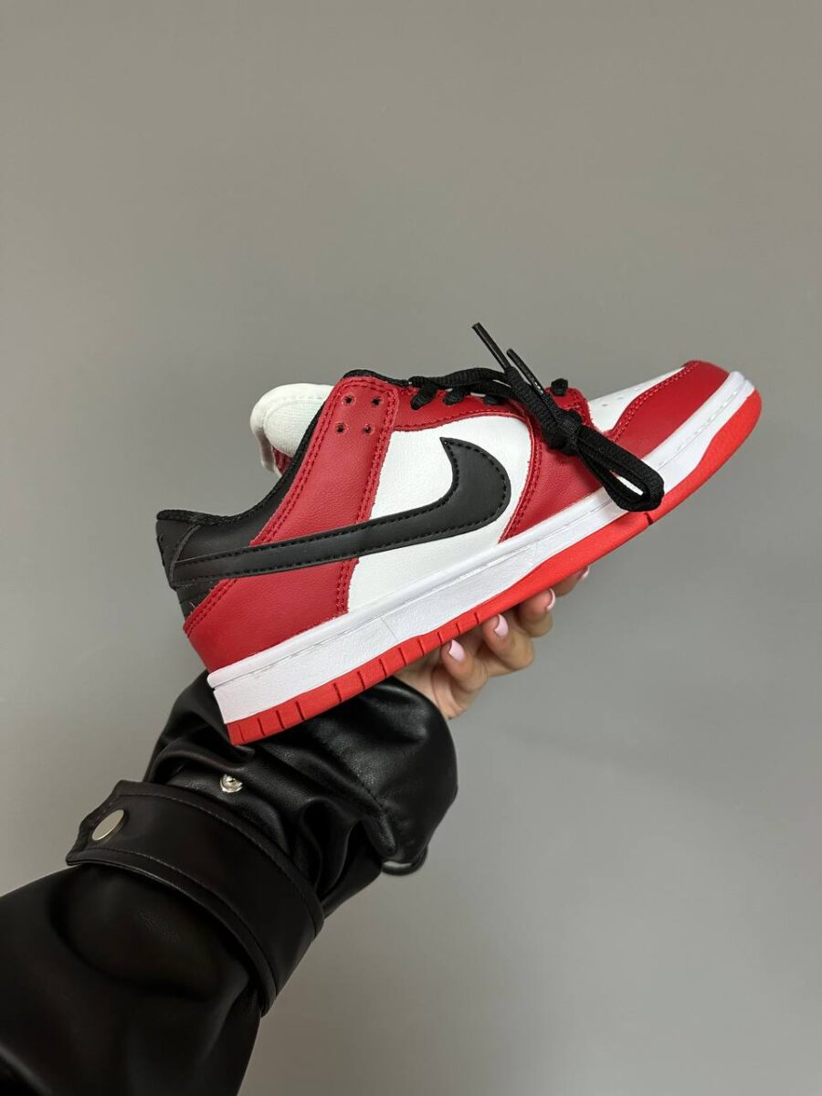 Nike Dunk Low SB J-Pack Chicago 4