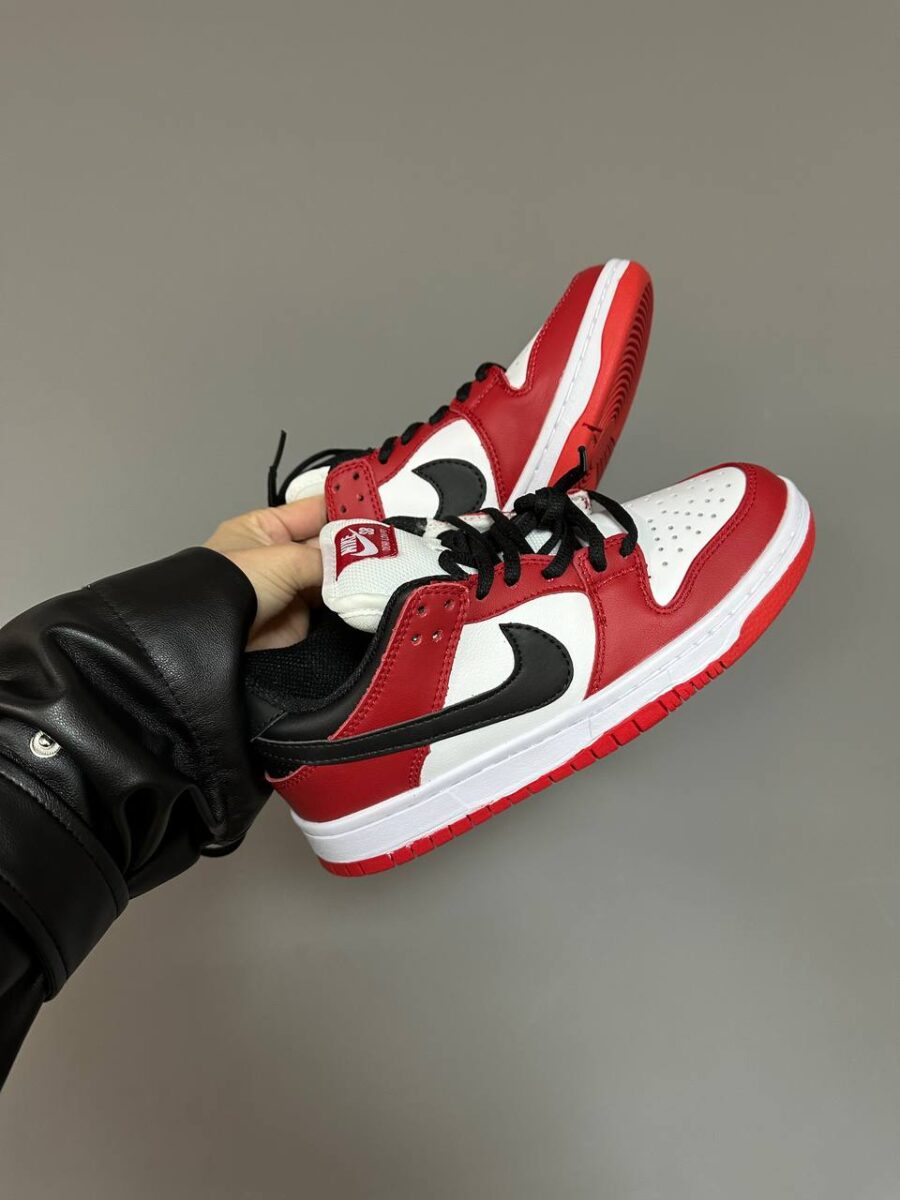 Nike Dunk Low SB J-Pack Chicago 6