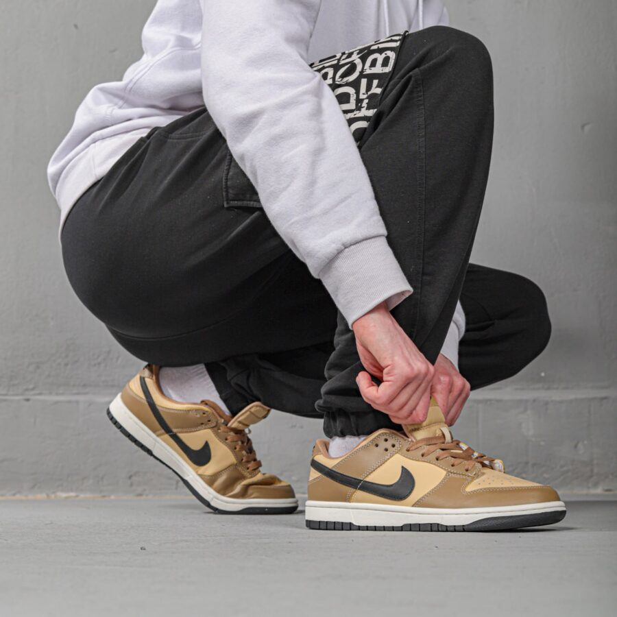 Nike Dunk Low Brown Beige 1