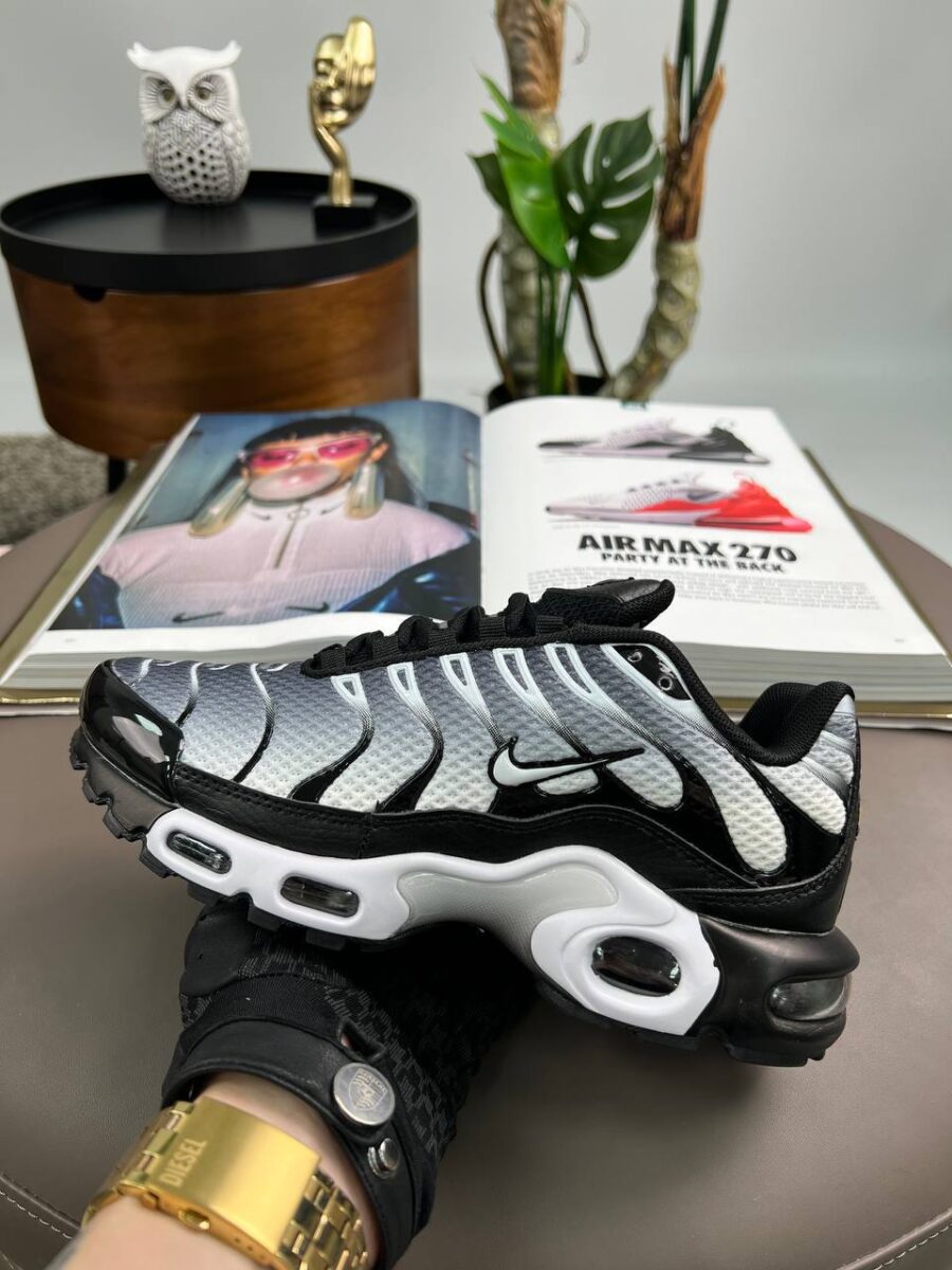 Nike Air Max Plus TN Black Silver DM0032-003