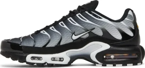 Nike Air Max Plus TN Black Silver DM0032-003