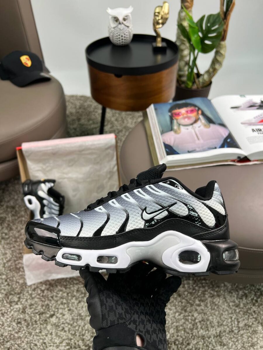 Nike Air Max Plus TN Black Silver DM0032-003