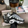 Nike Air Max Plus TN Black Silver DM0032-003