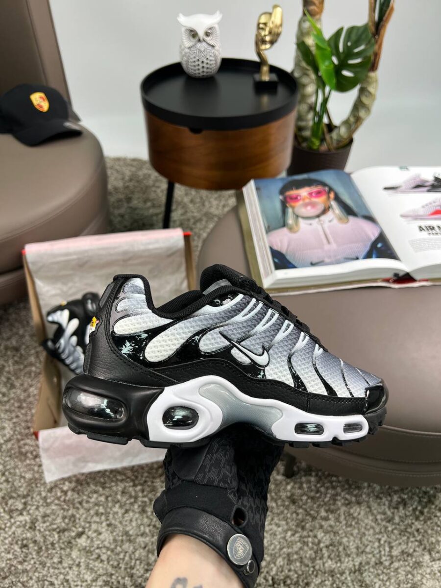 Nike Air Max Plus TN Black Silver DM0032-003